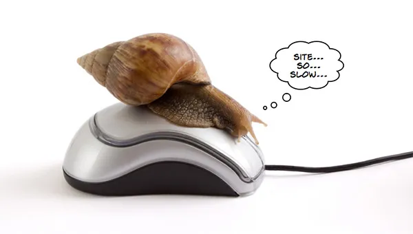 Mouse üzerinde bir sümüklü böcek var sitem çok yavaş diye düşünüyor